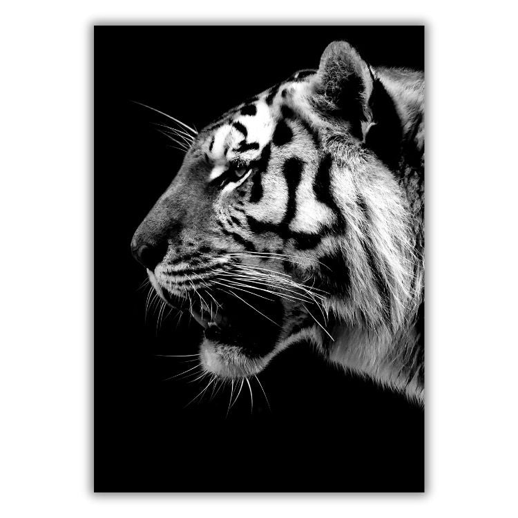 African Safari Tiger Wall Art Canvas Print