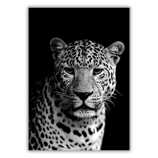 African Safari Leopard Wall Art Canvas Print