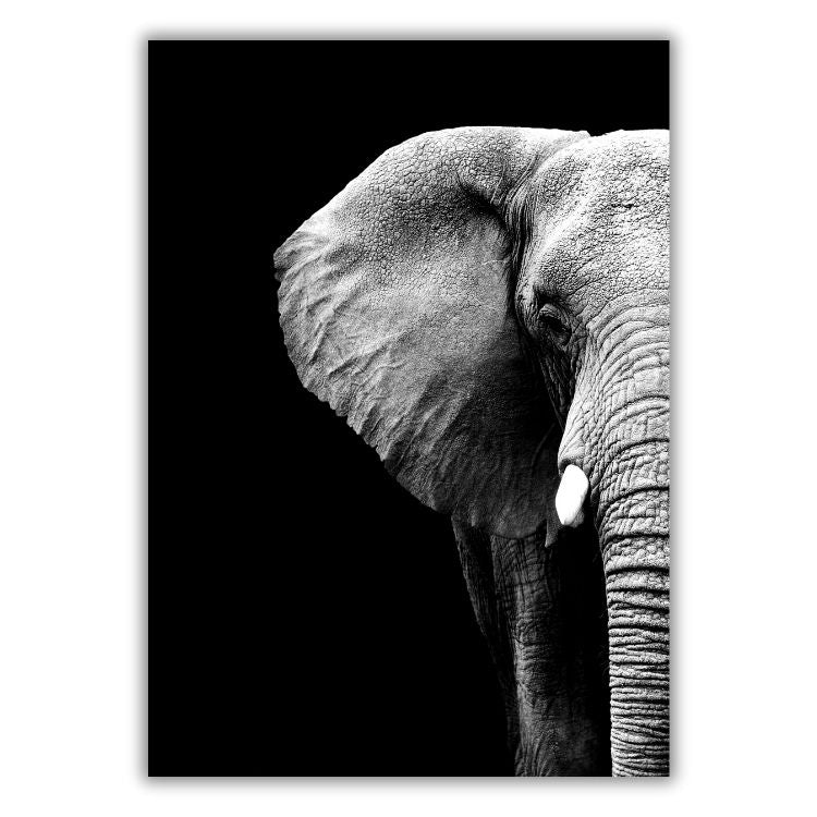 African Safari Elephant Wall Art Canvas Print