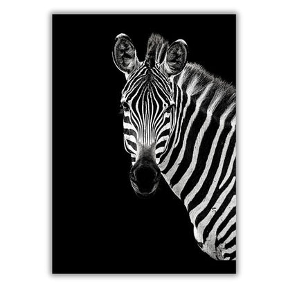 African Safari Zebra Wall Art Canvas Print