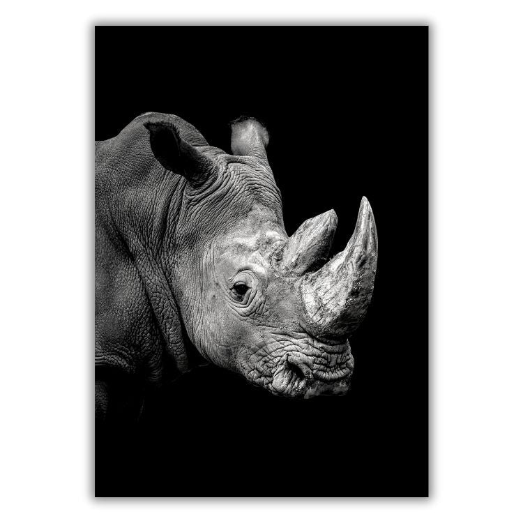 African Safari Rhino Wall Art Canvas Print