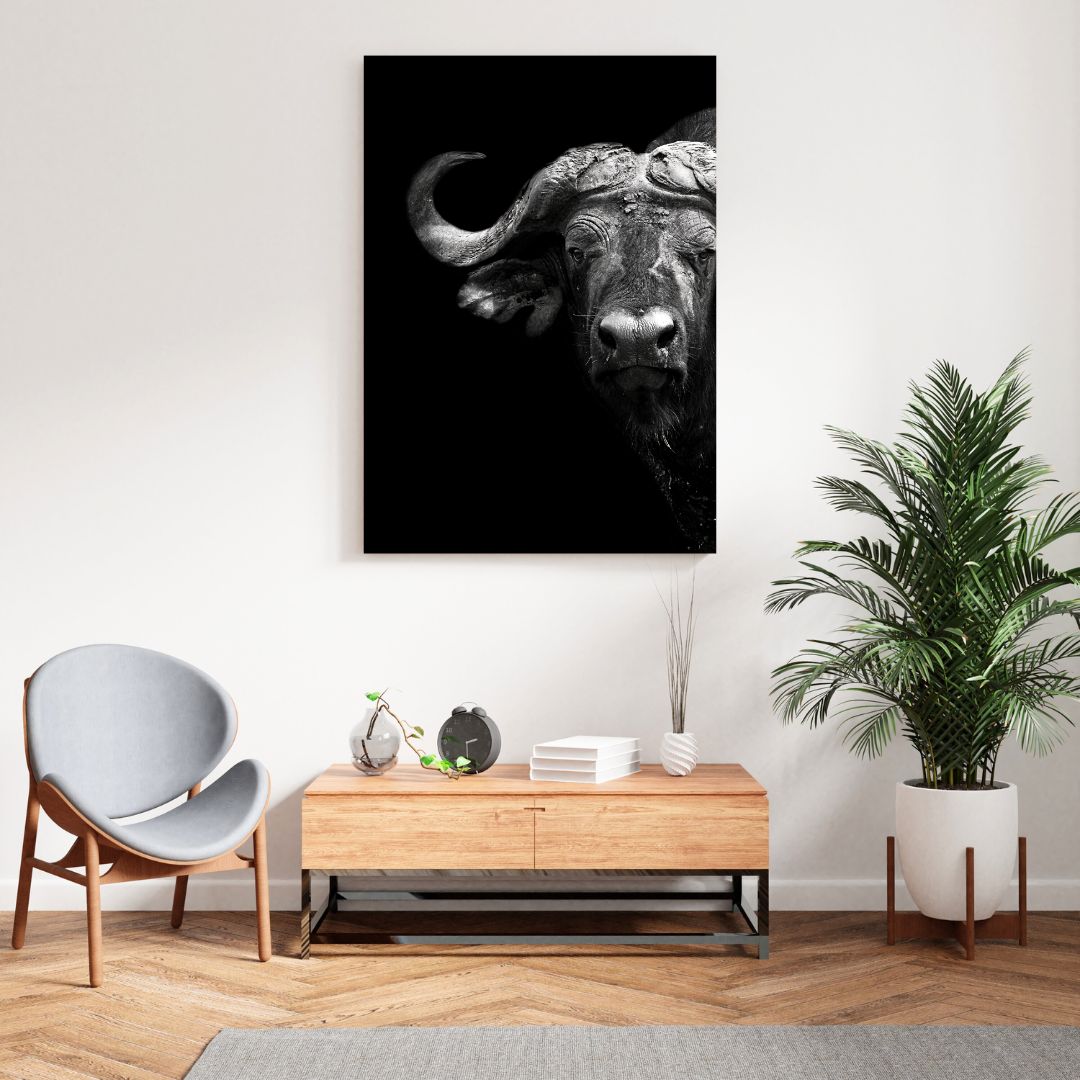 African Safari Buffalo Wall Art Canvas Print