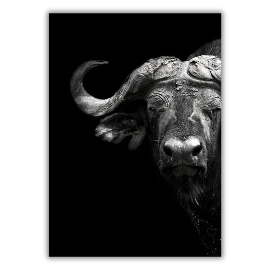 African Safari Buffalo Wall Art Canvas Print