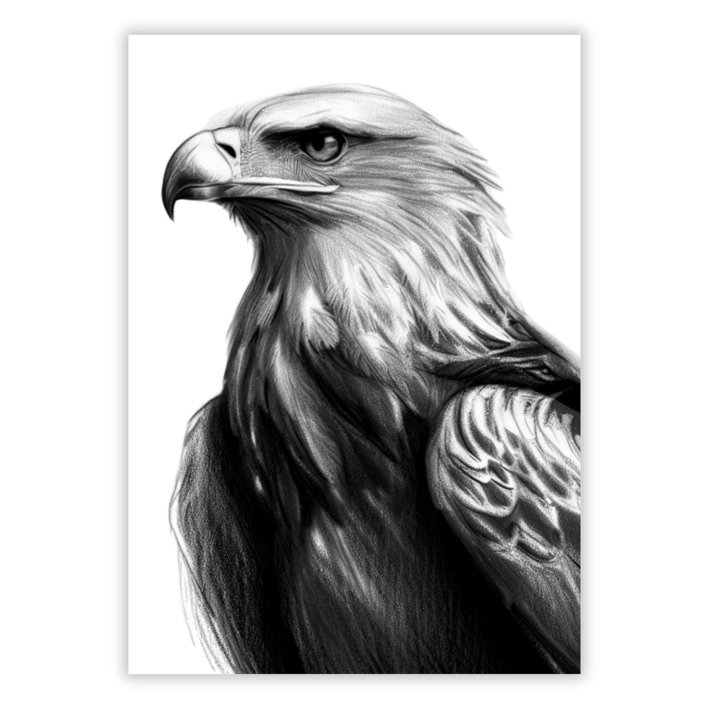 The Eagle Sketch Wall Art Canvas Print