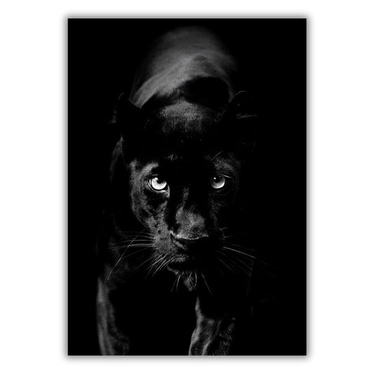 African Safari Panther Wall Art Canvas Print