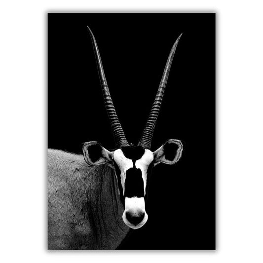 African Safari Antelope Wall Art Canvas Print