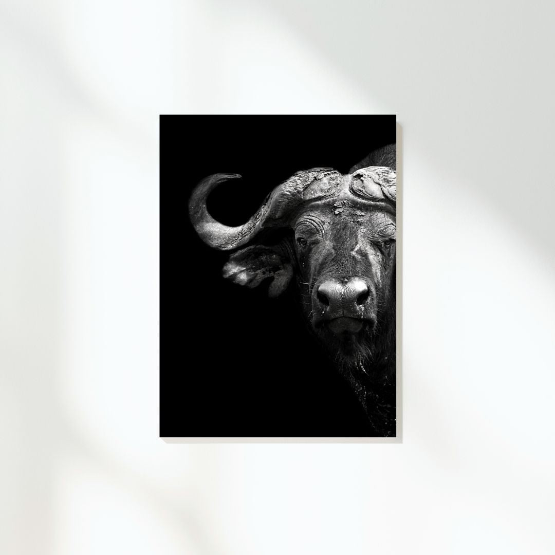 African Safari Buffalo Wall Art Canvas Print