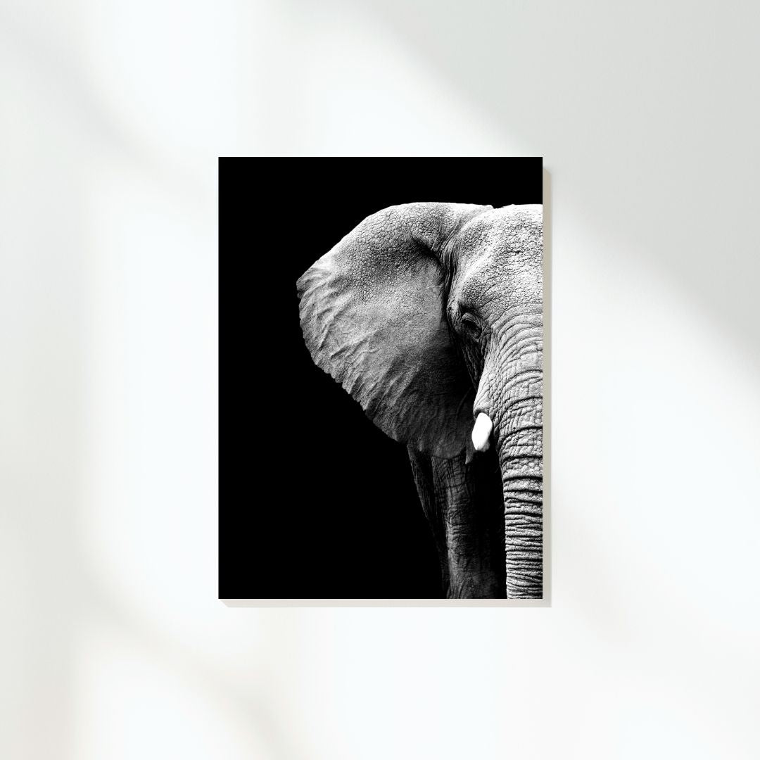 African Safari Elephant Wall Art Canvas Print