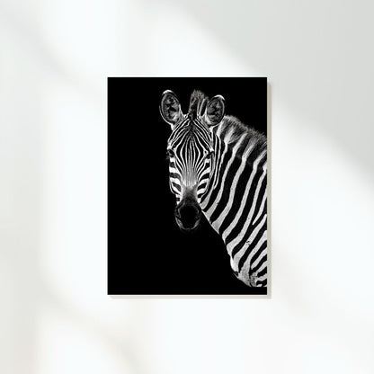 African Safari Zebra Wall Art Canvas Print