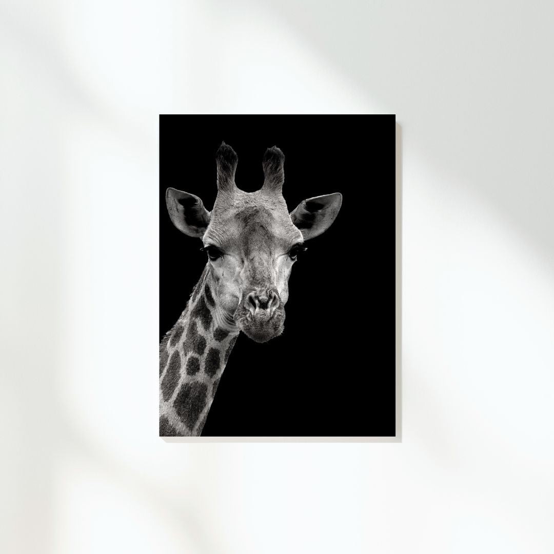 African Safari Giraffe Wall Art Canvas Print