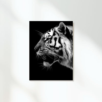 African Safari Tiger Wall Art Canvas Print