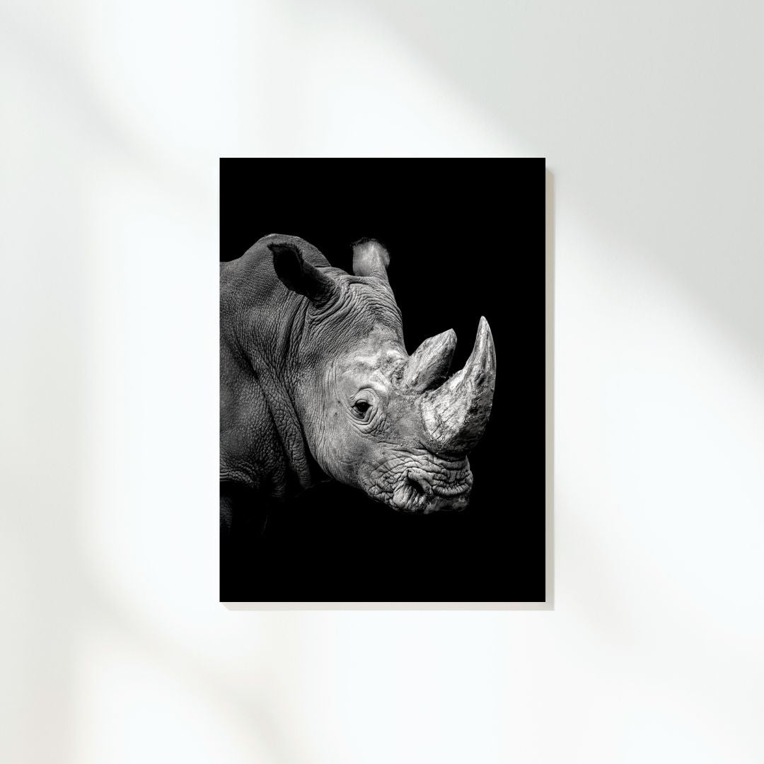 African Safari Rhino Wall Art Canvas Print