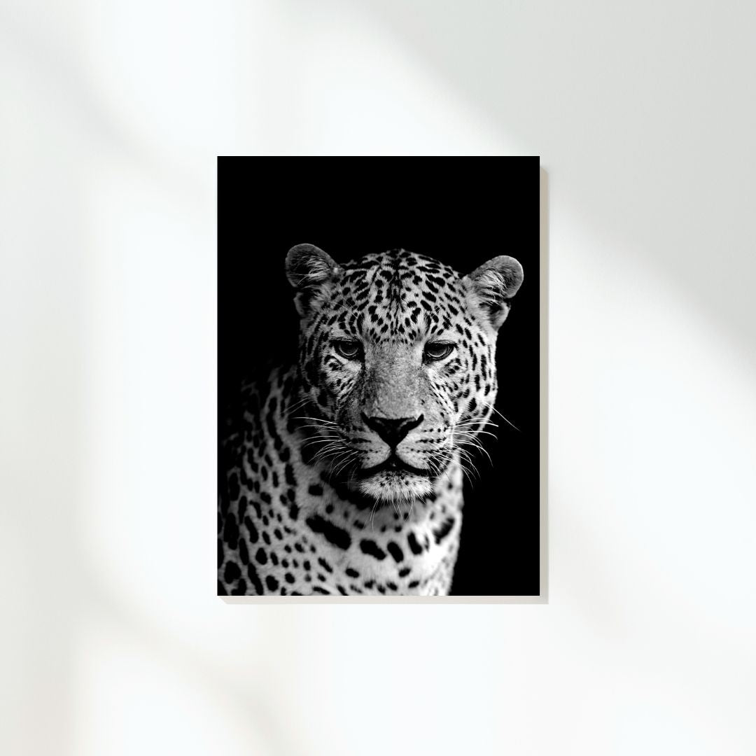 African Safari Leopard Wall Art Canvas Print