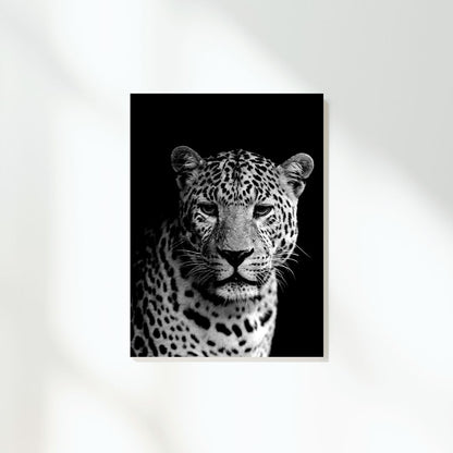 African Safari Leopard Wall Art Canvas Print