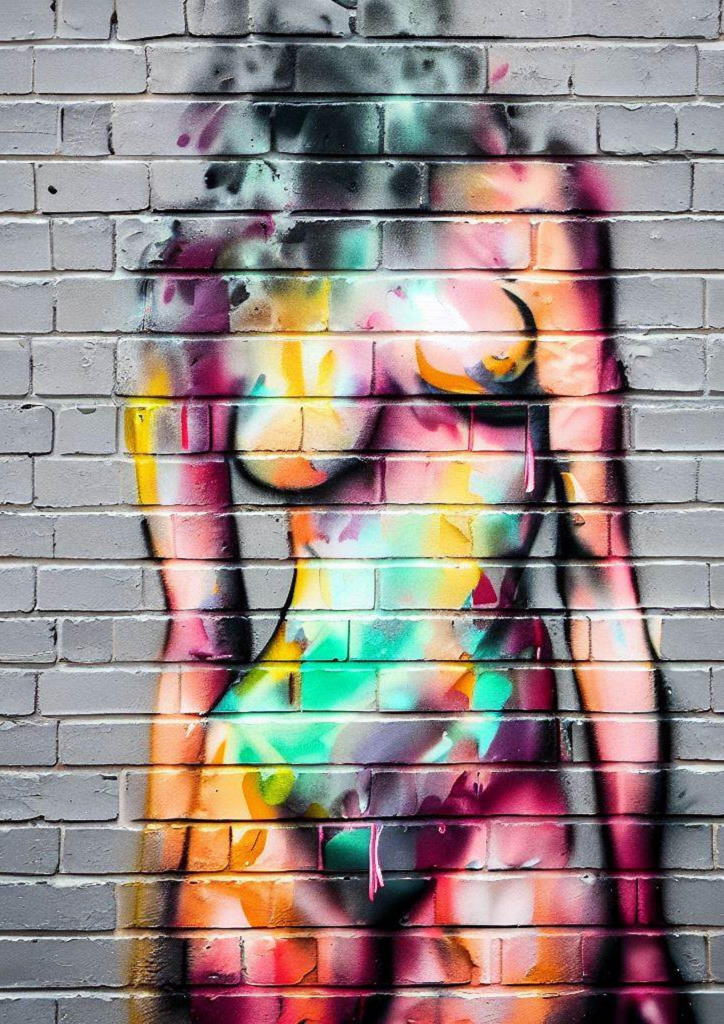 Graffiti Femme Wall Art Canvas Print