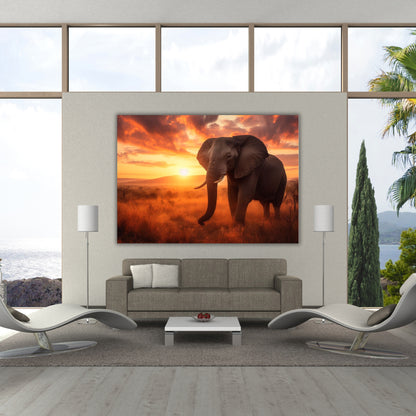 Elephant Glory Animal Kingdom Wall Art Canvas Print