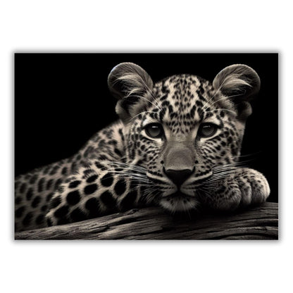 Beautiful Leopard Animal Kingdom Wall Art Canvas Print