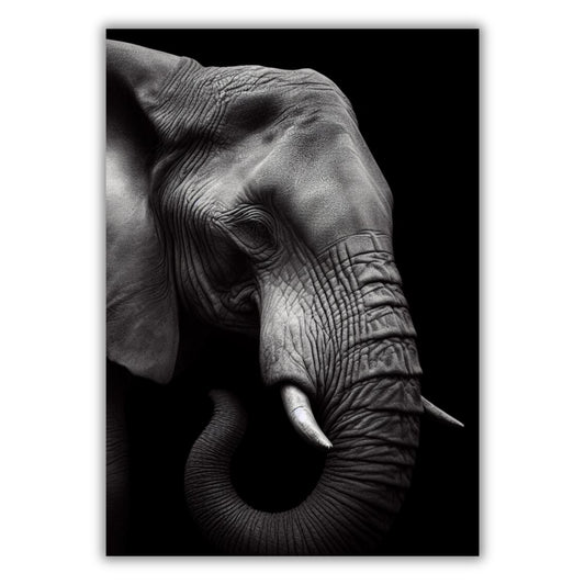 Elephant Animal Kingdom Wall Art Canvas Print