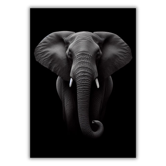 An Elephant's Wisdom Animal Kingdom Wall Art Canvas Print