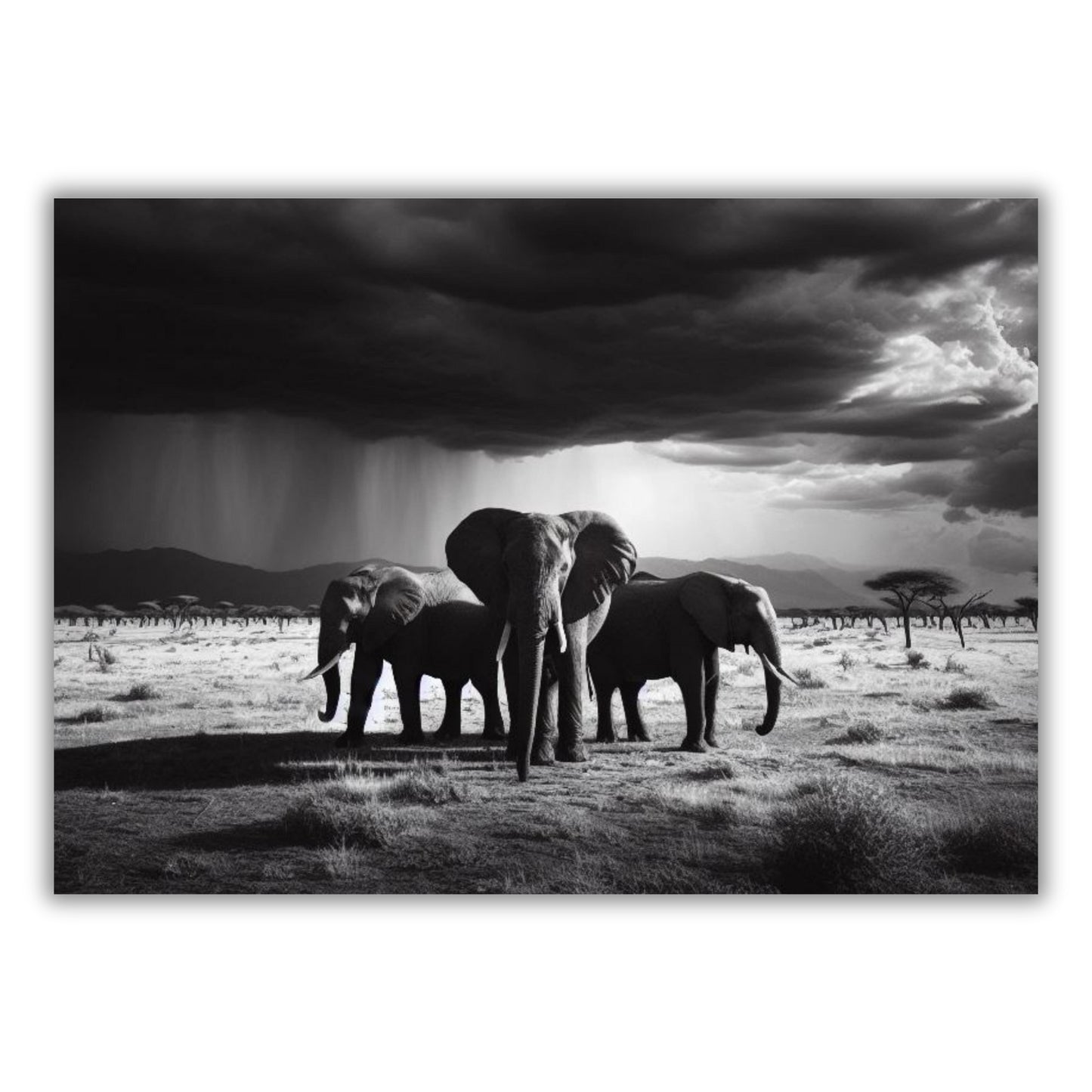 Elephant Storm Animal Kingdom Wall Art Canvas Print