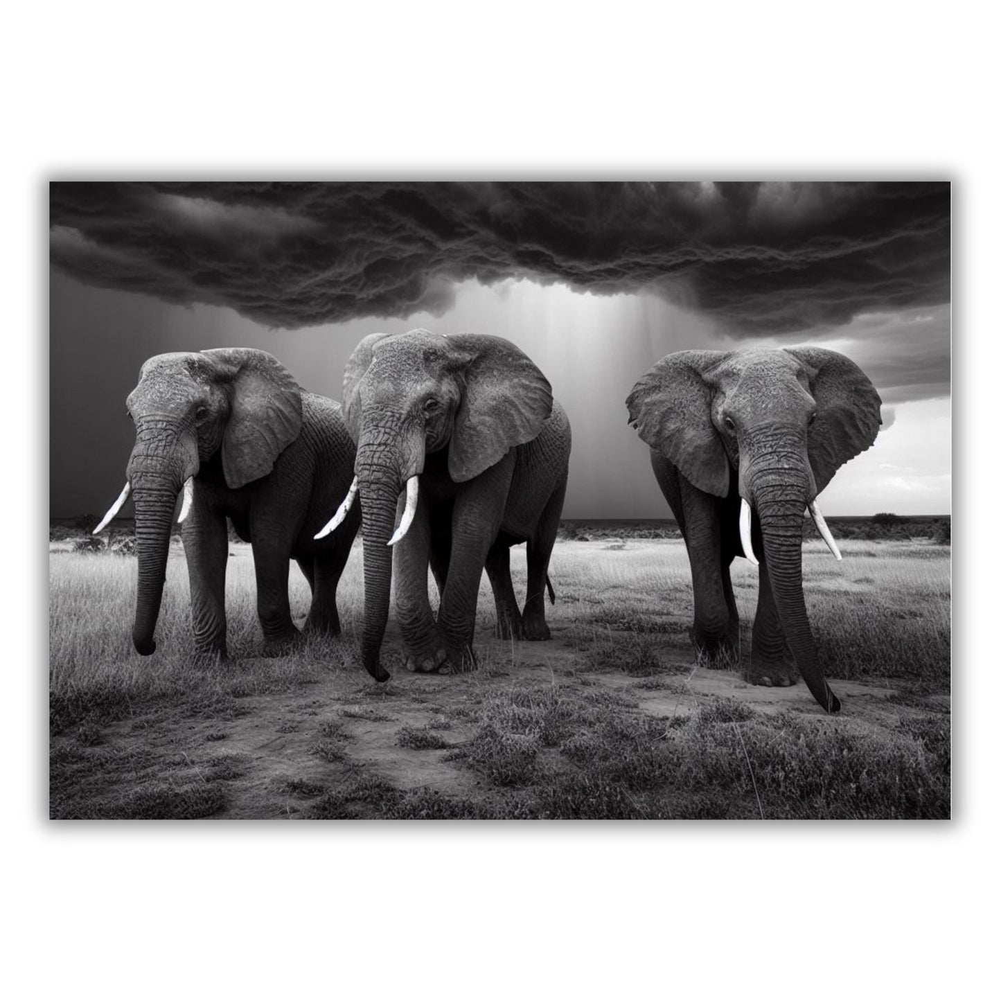 Elephant Guard Animal Kingdom Wall Art Canvas Print