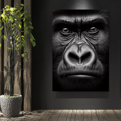 Gorilla Animal Kingdom Wall Art Canvas Print