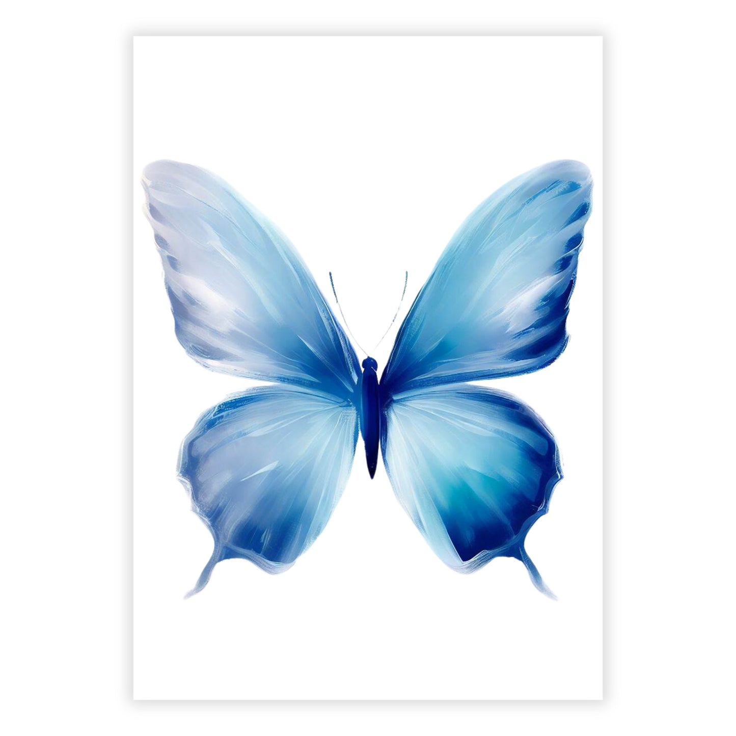 Hamptons Butterfly Wall Art Canvas Print