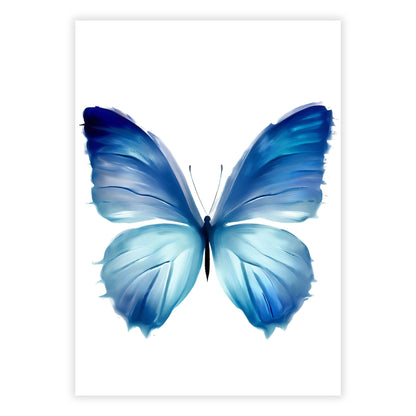 Hamptons Butterfly Enchanted Wall Art Canvas Print