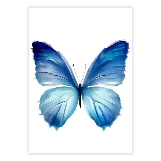 Hamptons Butterfly Enchanted Wall Art Canvas Print