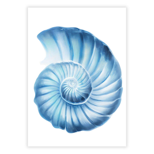 Hamptons Seashell Serenity Wall Art Canvas Print