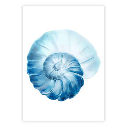 Hamptons Sea Shell Swirl Wall Art Canvas Print