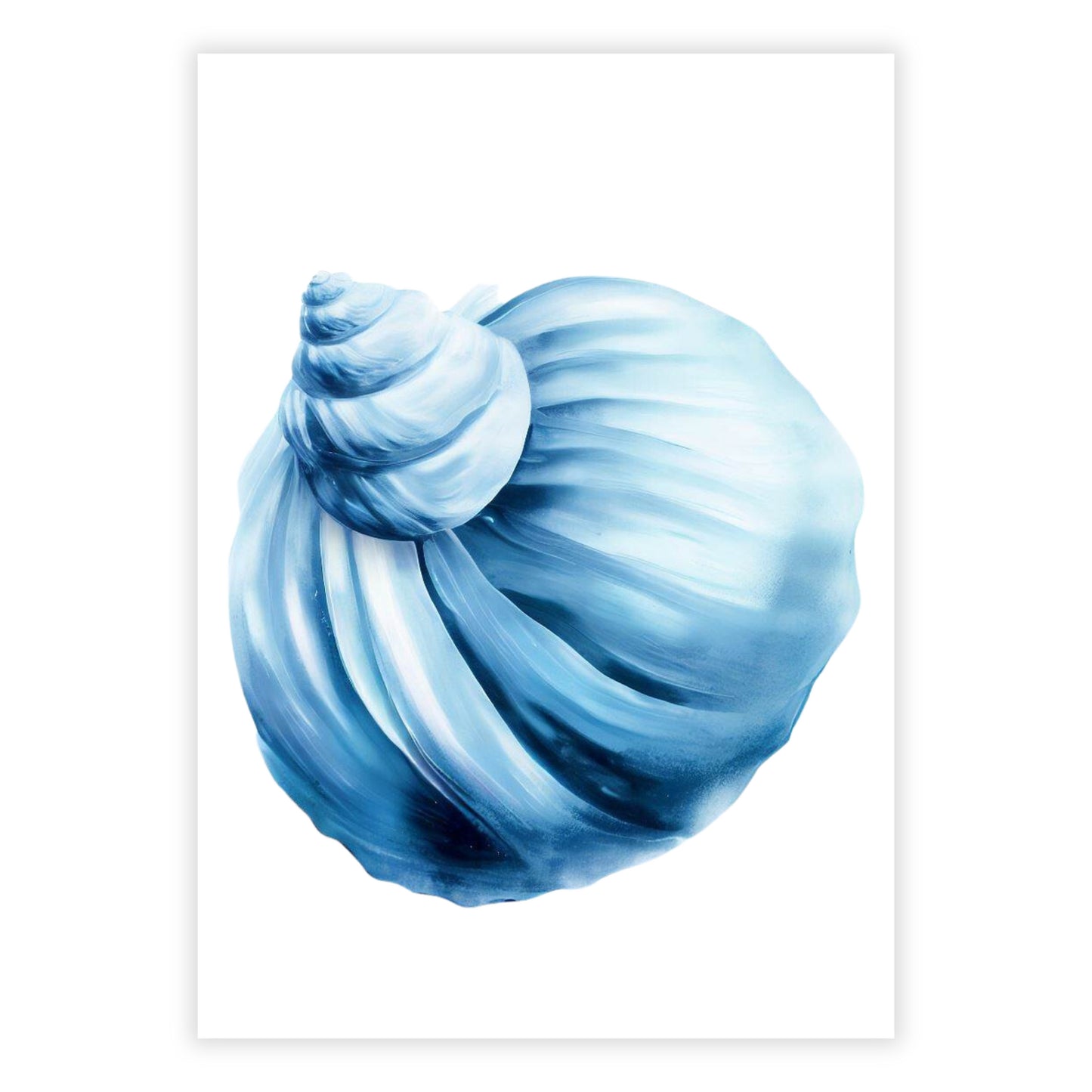 Hamptons Sea Shell Wall Art Canvas Print