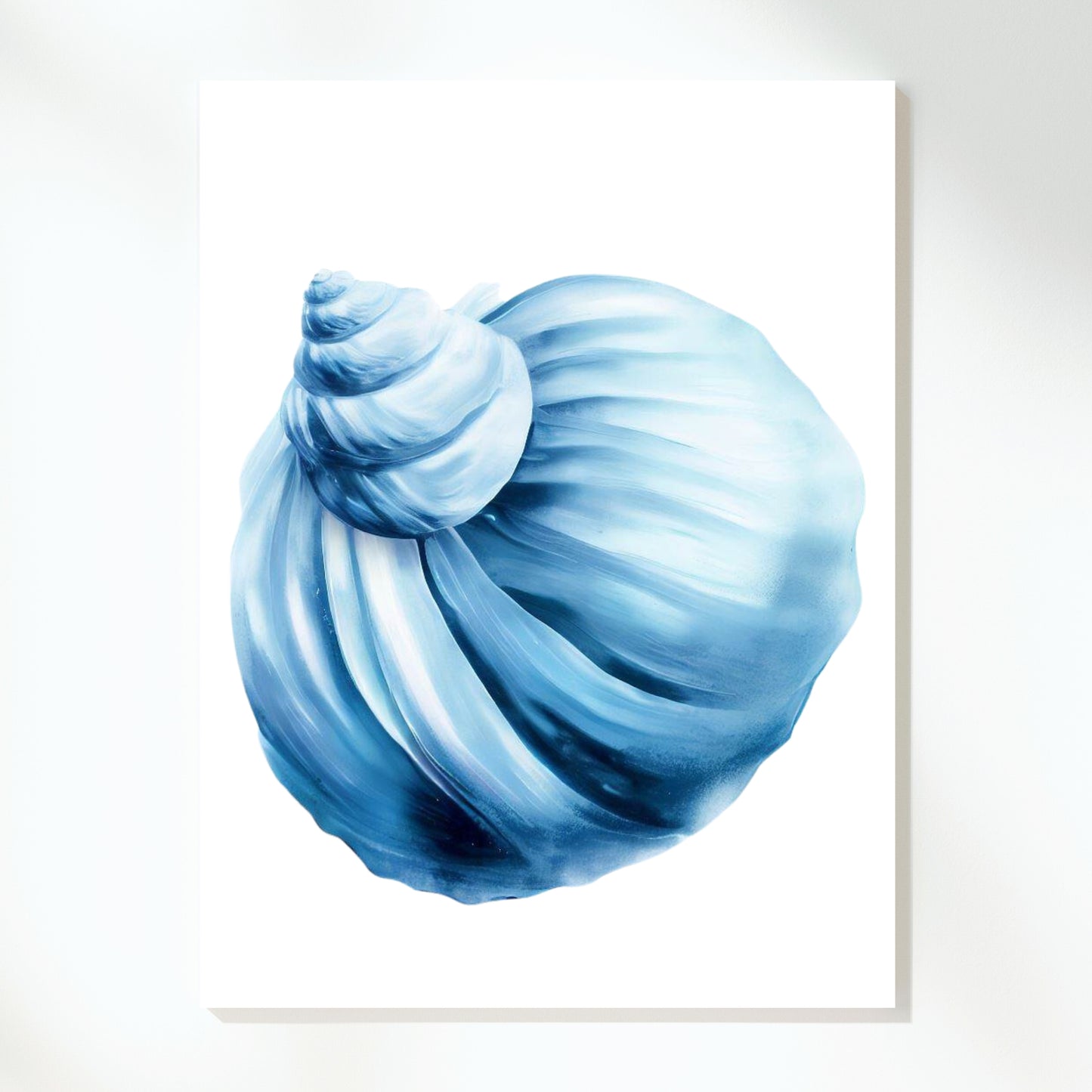 Hamptons Sea Shell Wall Art Canvas Print