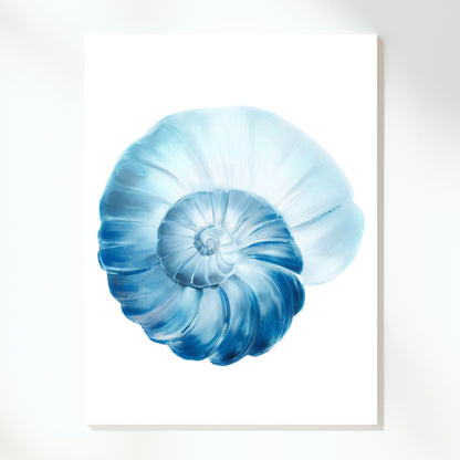 Hamptons Sea Shell Swirl Wall Art Canvas Print