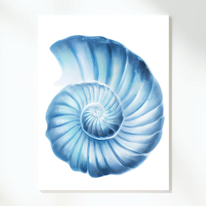 Hamptons Seashell Serenity Wall Art Canvas Print