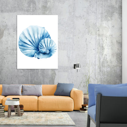 Hamptons Sea Shells Wall Art Canvas Print