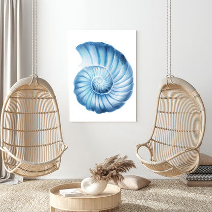 Hamptons Seashell Serenity Wall Art Canvas Print