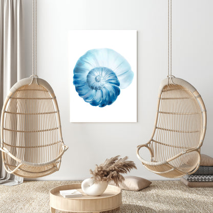 Hamptons Sea Shell Swirl Wall Art Canvas Print