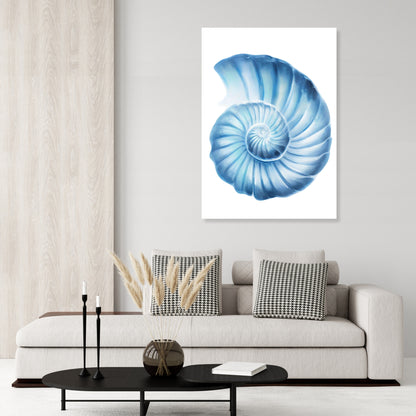 Hamptons Seashell Serenity Wall Art Canvas Print