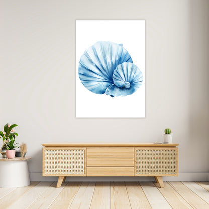 Hamptons Sea Shells Wall Art Canvas Print