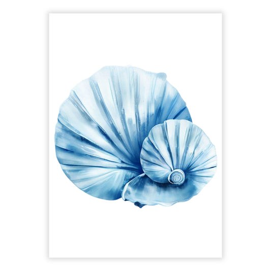 Hamptons Sea Shells Wall Art Canvas Print