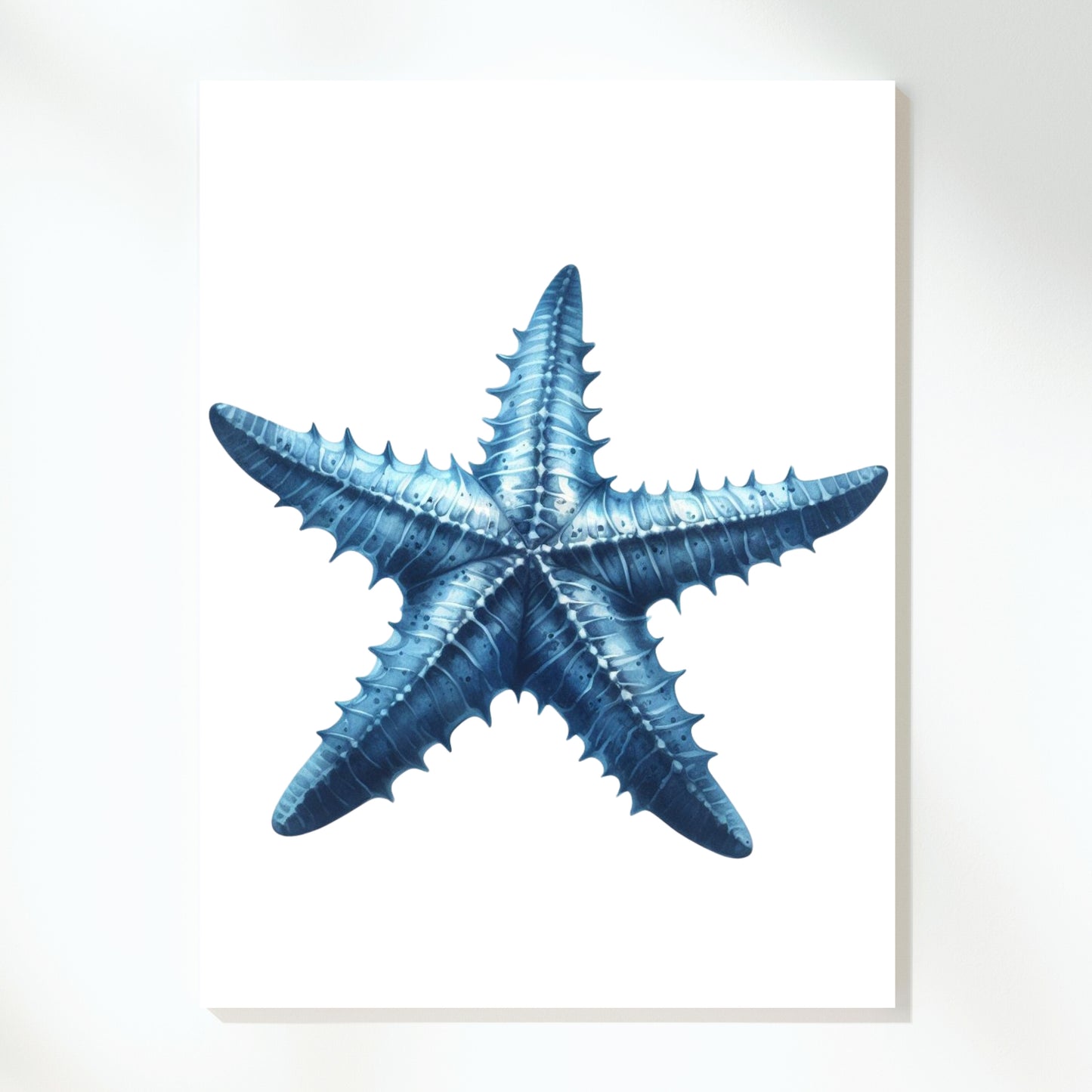 Hamptons Starfish Wall Art Canvas Print