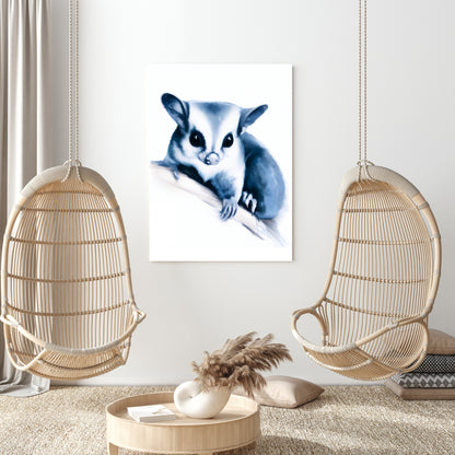 Hamptons Sugar Glider Wall Art Canvas Print