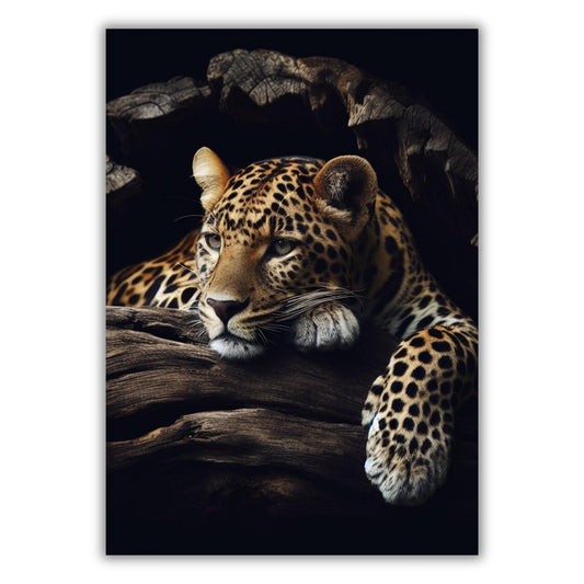 Leopard Beauty Animal Kingdom Wall Art Canvas Print