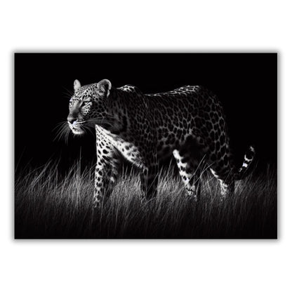 Leopard Night Animal Kingdom Wall Art Canvas Print