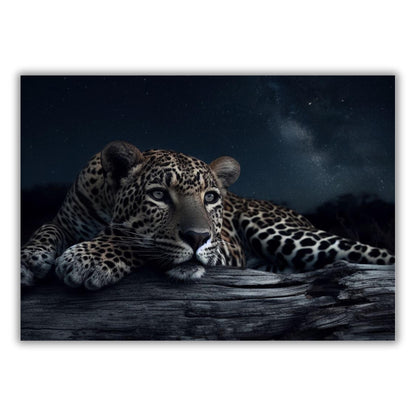 A Leopard's Eye Animal Kingdom Wall Art Canvas Print