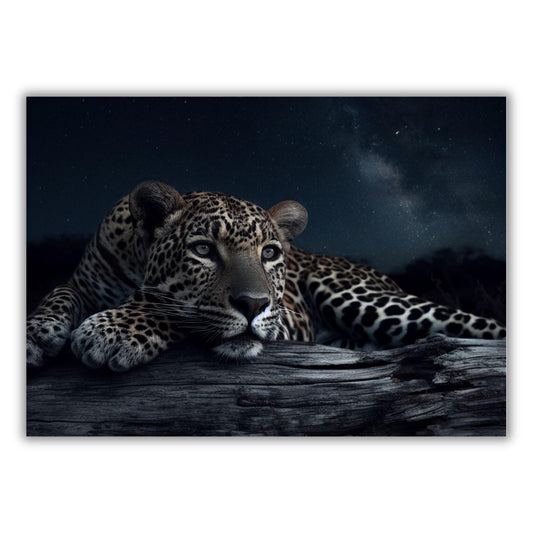 A Leopard's Eye Animal Kingdom Wall Art Canvas Print