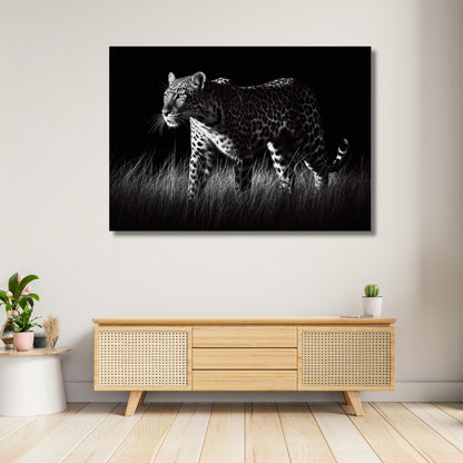 Leopard Night Animal Kingdom Wall Art Canvas Print