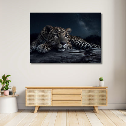 A Leopard's Eye Animal Kingdom Wall Art Canvas Print