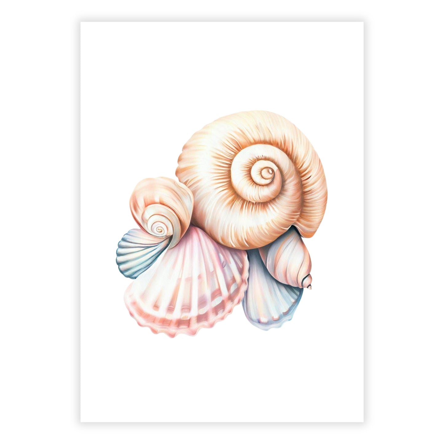 Heavenly Beach Shells Wall Art Canvas Print